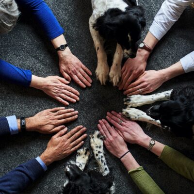 editorial_photography_www